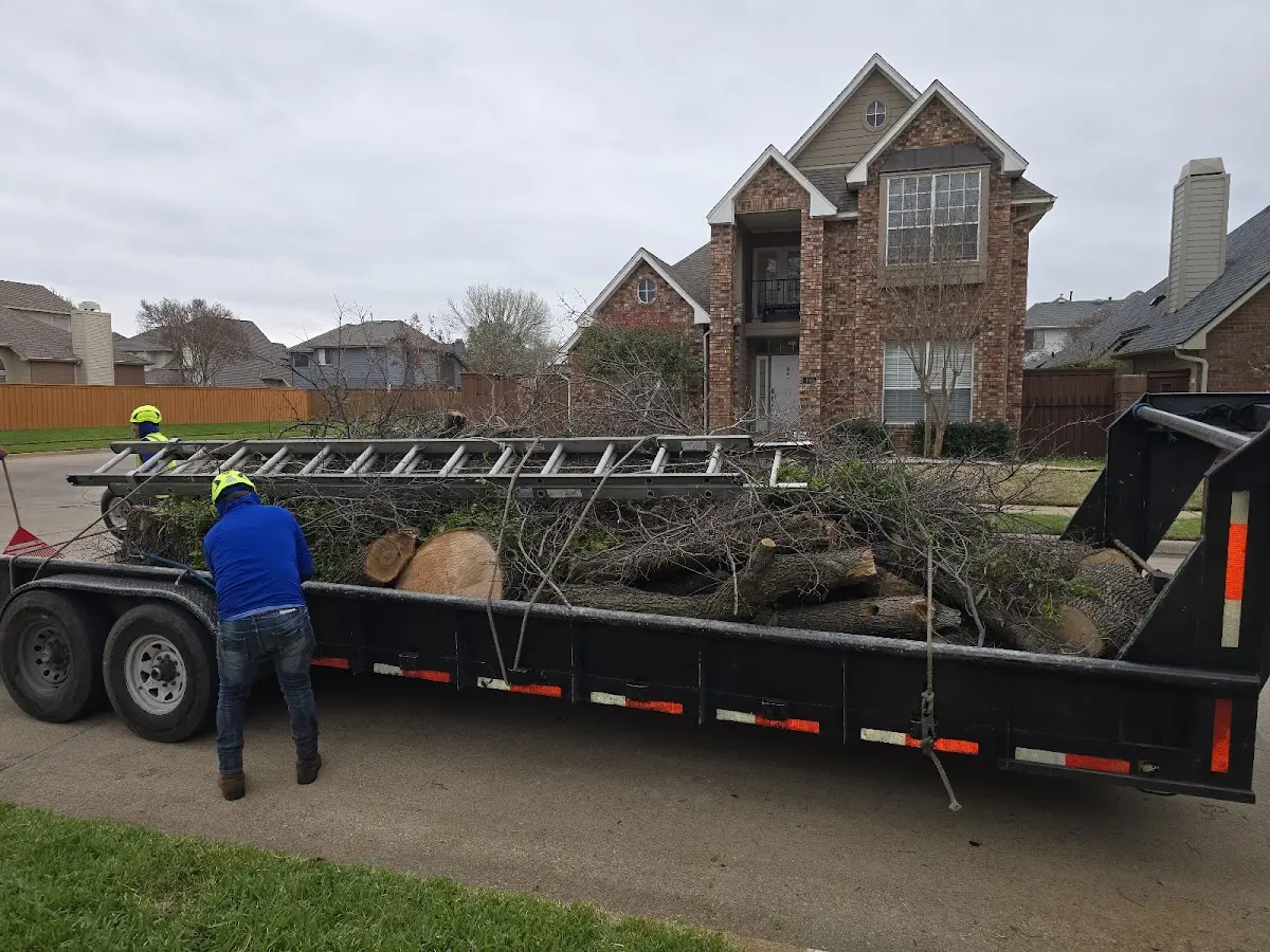 Expert Lot Clearing with proper safety equipment in Freedom